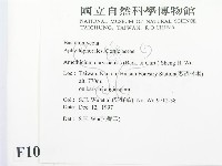 登錄號:F0010097藏品圖，第2張