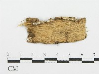 登錄號:F0010097藏品圖，第3張