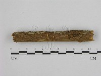 登錄號:F0010098藏品圖，第1張