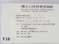 登錄號:F0010099藏品圖，第2張