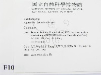 登錄號:F0010102藏品圖，第2張