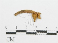 登錄號:F0010102藏品圖，第1張