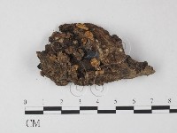 登錄號:F0010103藏品圖，第1張