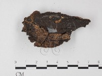 登錄號:F0010103藏品圖，第3張