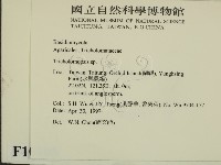 登錄號:F0010105藏品圖，第2張