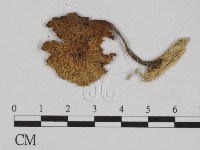 登錄號:F0010105藏品圖，第3張