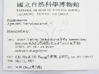 微皮傘屬藏品圖，第2張