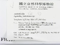登錄號:F0010107藏品圖，第2張