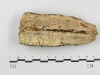 登錄號:F0010107藏品圖，第3張