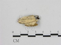 登錄號:F0010110藏品圖，第3張