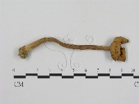 登錄號:F0010111藏品圖，第1張