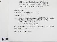 登錄號:F0010112藏品圖，第2張