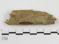 登錄號:F0010112藏品圖，第1張