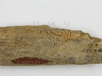 登錄號:F0010112藏品圖，第3張