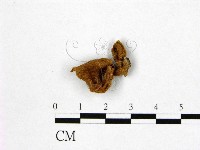 登錄號:F0010114藏品圖，第1張