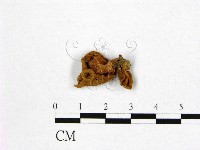 登錄號:F0010114藏品圖，第3張