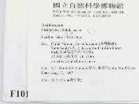 登錄號:F0010116藏品圖，第2張