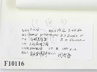 登錄號:F0010116藏品圖，第3張