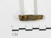 登錄號:F0010117藏品圖，第1張