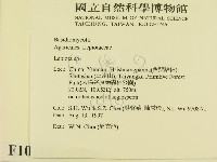 登錄號:F0010118藏品圖，第2張