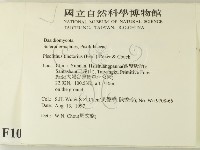 登錄號:F0010119藏品圖，第2張