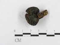 登錄號:F0010119藏品圖，第4張