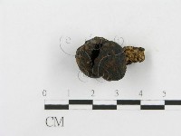 登錄號:F0010119藏品圖，第5張