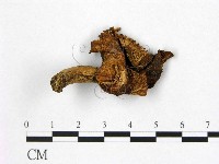 登錄號:F0010120藏品圖，第1張