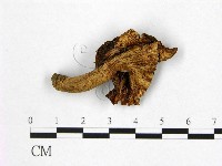 登錄號:F0010120藏品圖，第3張