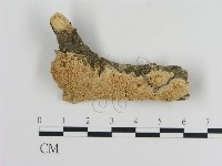 登錄號:F0010127藏品圖，第1張