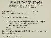 登錄號:F0010128藏品圖，第2張