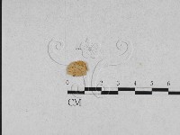 登錄號:F0010128藏品圖，第1張