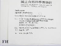 登錄號:F0010131藏品圖，第2張