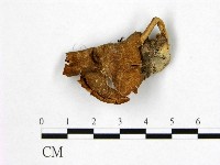 登錄號:F0010132藏品圖，第1張