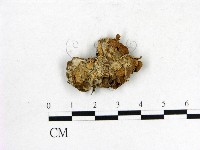 登錄號:F0010133藏品圖，第1張