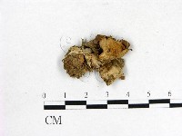 登錄號:F0010133藏品圖，第3張