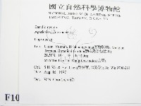 鬼傘屬藏品圖，第2張