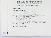 紅菇屬藏品圖，第2張