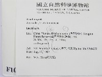 登錄號:F0010136藏品圖，第2張