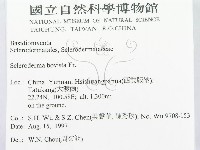 登錄號:F0010138藏品圖，第2張