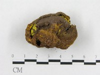 登錄號:F0010138藏品圖，第3張