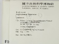 栓菌屬藏品圖，第2張