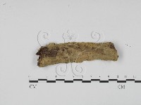 登錄號:F0010140藏品圖，第1張