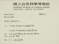 登錄號:F0010141藏品圖，第2張