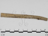 登錄號:F0010141藏品圖，第3張