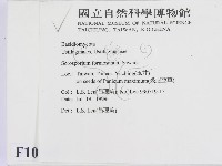 登錄號:F0010142藏品圖，第2張