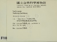 登錄號:F0010143藏品圖，第2張