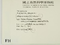 登錄號:F0010144藏品圖，第2張