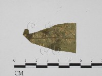 登錄號:F0010145藏品圖，第3張