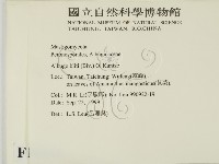 登錄號:F0010146藏品圖，第2張